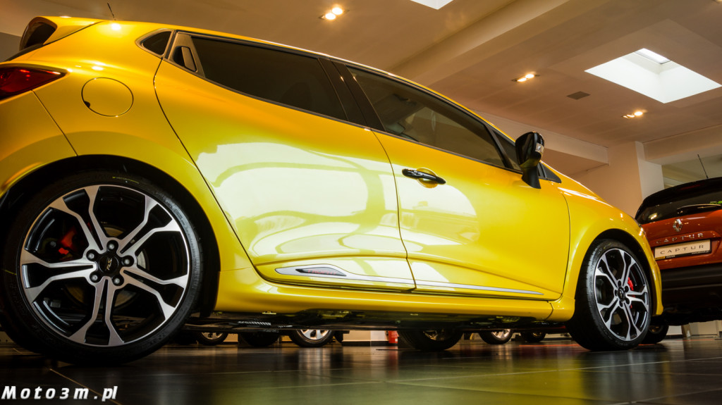Wyprzedaż rocznika 2015 Renault Zdunek-06576